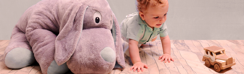 ensaio infantil com brinquedos